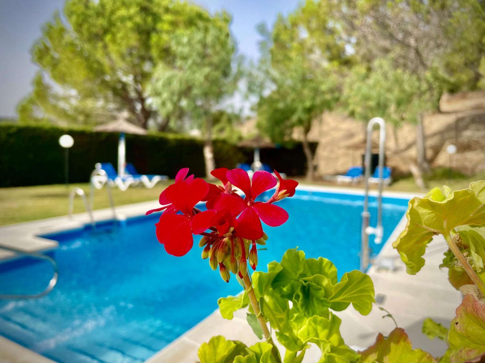 Hotel Tugasa Villa De Algar Альгар Экстерьер фото